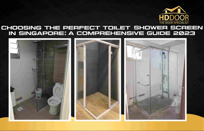 choosing-the-perfect-toilet shower screen in-singapore a comprehensive guide 2023